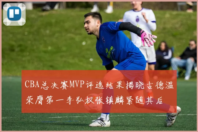 CBA总决赛MVP评选结果揭晓古德温荣膺第一李弘权张镇麟紧随其后